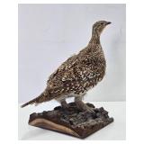 Genuine Taxidermy Grouse w/Log Mount
