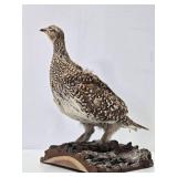 Genuine Taxidermy Grouse w/Log Mount