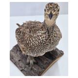 Genuine Taxidermy Grouse w/Log Mount