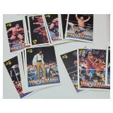 Lot of Vintage Pro Wrestling Memorabilia VHS Tapes Cards etc