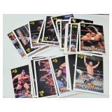 Lot of Vintage Pro Wrestling Memorabilia VHS Tapes Cards etc