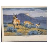 Framed Signed Numbered ARTIST PROOF Print by Les Kouba - 'Antelope Paradise'