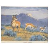 Framed Signed Numbered ARTIST PROOF Print by Les Kouba - 'Antelope Paradise'