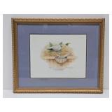 Framed Signed Numbered Print by Les Kouba - 'Australian Diamond Doves'