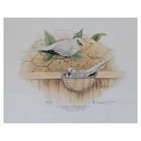 Framed Signed Numbered Print by Les Kouba - 'Australian Diamond Doves'