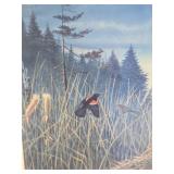 Framed Signed Numbered Print by Les Kouba - 'May in Minnesota' w/Loons