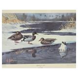 Framed Signed Numbered Print by Les Kouba - 'Mallards on Ice'