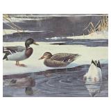 Framed Signed Numbered Print by Les Kouba - 'Mallards on Ice'