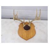 Antler Mount