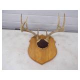 Antler Mount