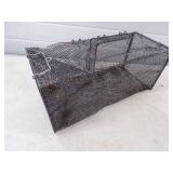 Minnow Trap