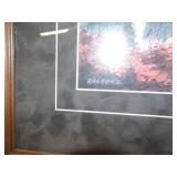 Wildlife Framed Print