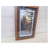 Wildlife Framed Print
