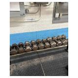 Exercise dumbbells with rack