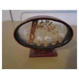 Shadow Box with contents 7 ½ x 1...