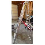 6ft Aluminum Ladder