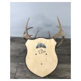 10 Point Buck - Says on the back measures 115 4/8”