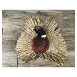 Taxidermy Wall Hanging Pheasant