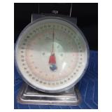 Metal scale with plastic face covering