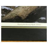 Framed, Signed and Numbered Print by Hayden Lambson - “Friends of the Forest” 1506/3500