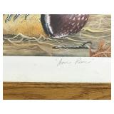 Framed, Numbered & Signed Print - “Acorn Picnic” - 99/450