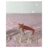 Lot of 6 Fishing Lures Shaped Like Shrimp