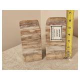 Petrified Wood Fossil Bookends