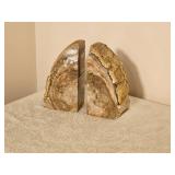 Petrified Wood Fossil Bookends
