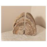 Petrified Wood Fossil Bookends