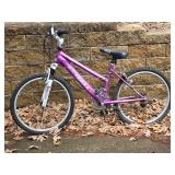 Kent 24 Terra Mountain Bike
