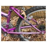 Kent 24 Terra Mountain Bike