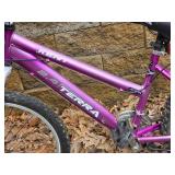 Kent 24 Terra Mountain Bike