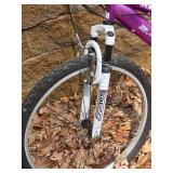 Kent 24 Terra Mountain Bike