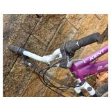 Kent 24 Terra Mountain Bike