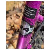 Kent 24 Terra Mountain Bike