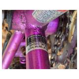 Kent 24 Terra Mountain Bike