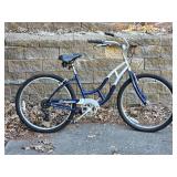 Schwinn Jaguar Cruiser Bicycle