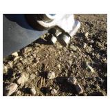 Raytree 30" Skid Steer Transverse Stump Grinder
