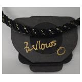 SC - Graceful Geoponics Resin Brooch Signed P. Hempe - Hand Painted Balsamwood Brooch - Bellows Pendant