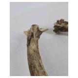 Whitetail Deer Antlers 10 Point Rack With Sticker Points Heavy Mass Wide Sweep - Combined (without spread): 125 1/2