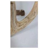Whitetail Deer Antlers 12 Point Rack With Sticker Points Large Heavy Mass Wide Set - 148 3/4 + spread