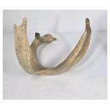 Lot of 2 Whitetail Deer Antler Sheds Long Beams Mixed Points Natural Character