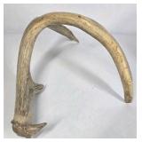 Lot of 2 Whitetail Deer Antler Sheds Long Beams Mixed Points Natural Character