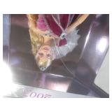 (BSB) 2005 Mattel Holiday Barbie De...
