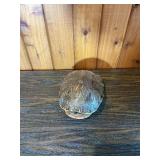 Turtle Shell Decorative Display Piece