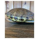 Turtle Shell Decorative Display Piece