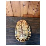 Turtle Shell Decorative Display Piece
