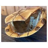 Turtle Shell Decorative Display Piece