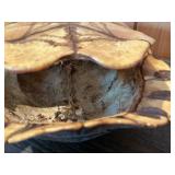 Turtle Shell Decorative Display Piece