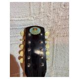 Vintage Folk String Instrument Lot”  * Regal Tenor Guitar * Banjo Ukulele (with box + book)